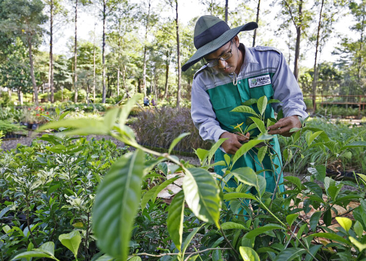 Pusat Pembibitan Tanaman (PPT) Bakti Lingkungan Djarum Foundation di Kudus MOJOK.CO