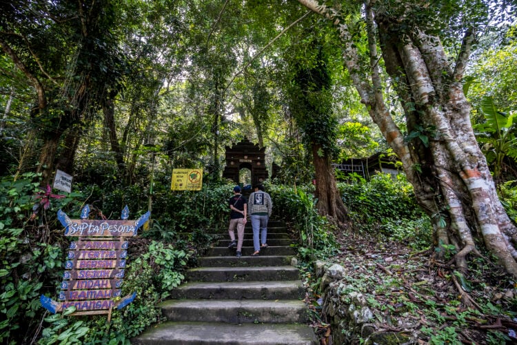 Hutan tempat salah satu sumber mata air di Desa Japan, Kudus memancar dan terus dijaga MOJOK.CO