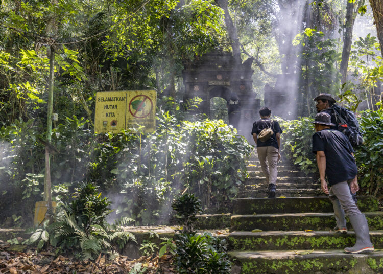 Anak tangga menuju sumber mata air Air Tiga Rasa di lereng Muria, Desa Japan, Kudus MOJOK.CO