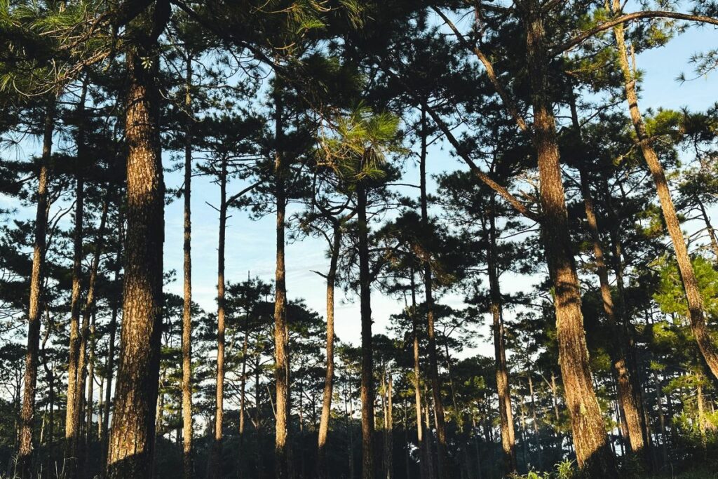 4 Alasan Warga Lokal Malas Berwisata ke Gunung Tidar Magelang