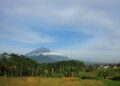 Muntilan Magelang Menjebak Pendatang, Menyesal Pindah ke Sini