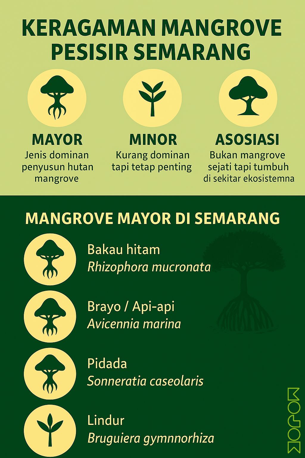 mangrove di pesisir semarang.MOJOK.CO