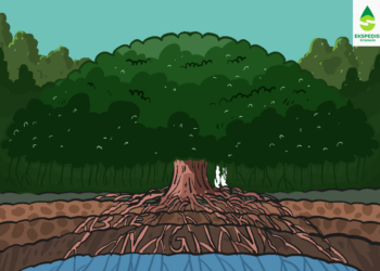 Ilustrasi ekspedisi Tirta Muria - Mojok.co