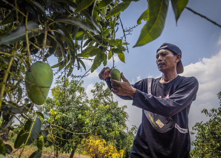 Masyhuri, petani yang menggalakkan kesadaran penghijauan alam MOJOK.CO