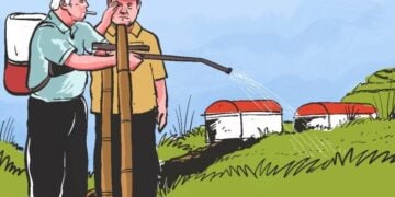 Swasembada Pangan di era Prabowo. MOJOK.CO