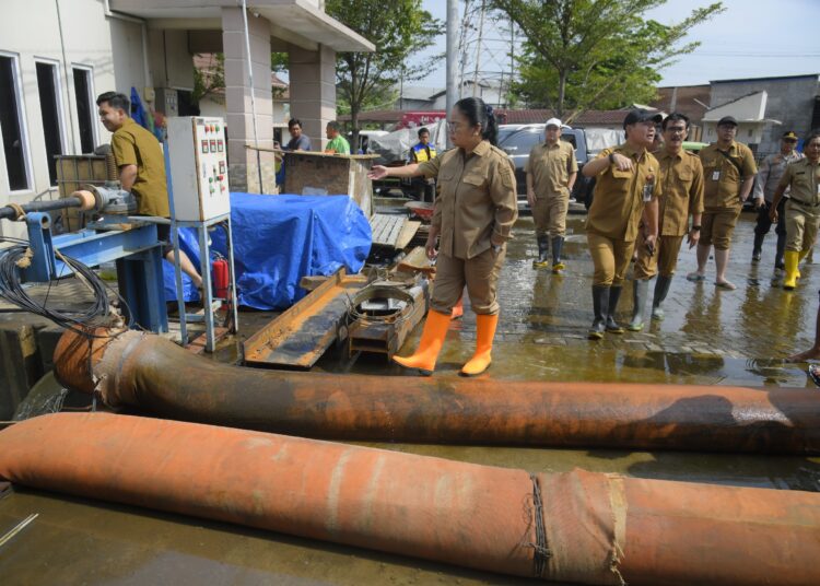 Wali Kota Semarang, Agustina Wilujeng upayakan percepat pembanguna proyek untuk atasi banjir dan rob MOJOK.CO