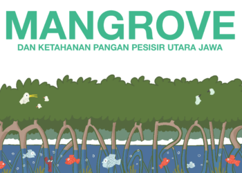 Mangrove, Garda Terdepan Ketahanan Pangan Pesisir Utara Jawa.MOJOK.CO