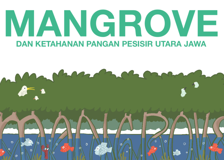 Mangrove, Garda Terdepan Ketahanan Pangan Pesisir Utara Jawa.MOJOK.CO