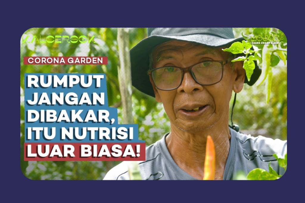 Rahasia Pak Naryo: Pupuk Organik Tanpa Fermentasi, Siap Pakai Hanya Sehari