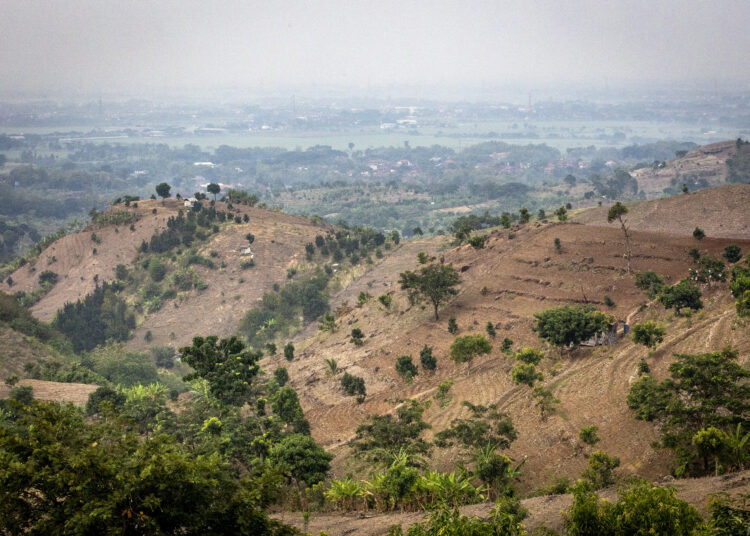 Bukit Patiayam perlahan mulai dihijaukan usai pembalakan 1998 MOJOK.CO