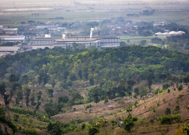 Bukit Patiayam, Kudus mulai menghijau beberapa tahun mangga usai penanaman mangga dan lain-lain MOJOK.CO