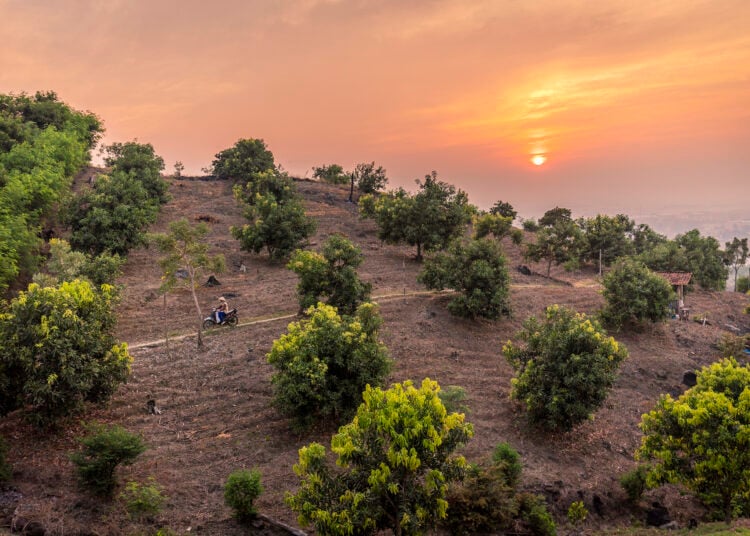 Lanskap bukit Patiayam di Desa Gondoharum, Kudus MOJOK.CO