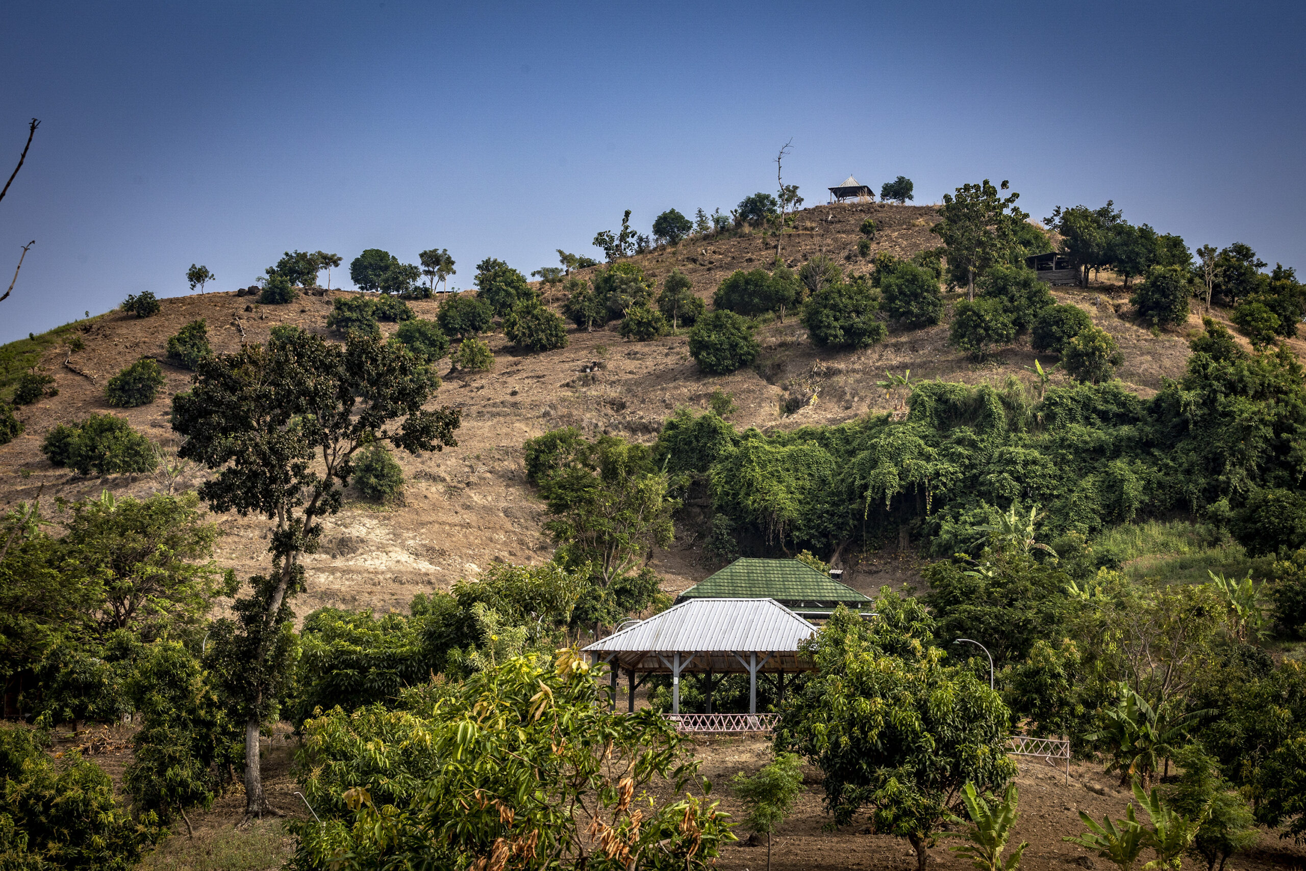 patiayam, bldf.MOJOK,.CO