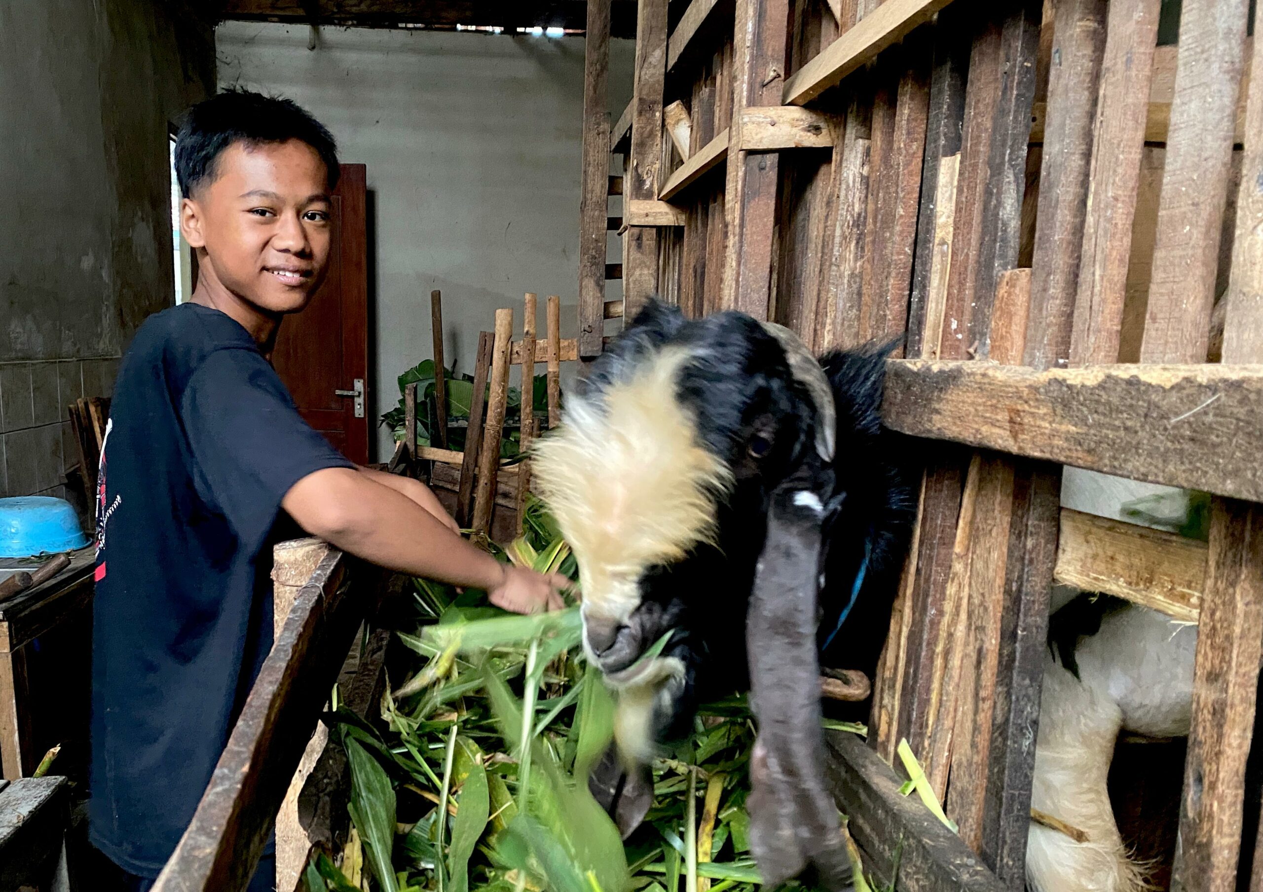 lksa darussalamah.MOJOK.CO