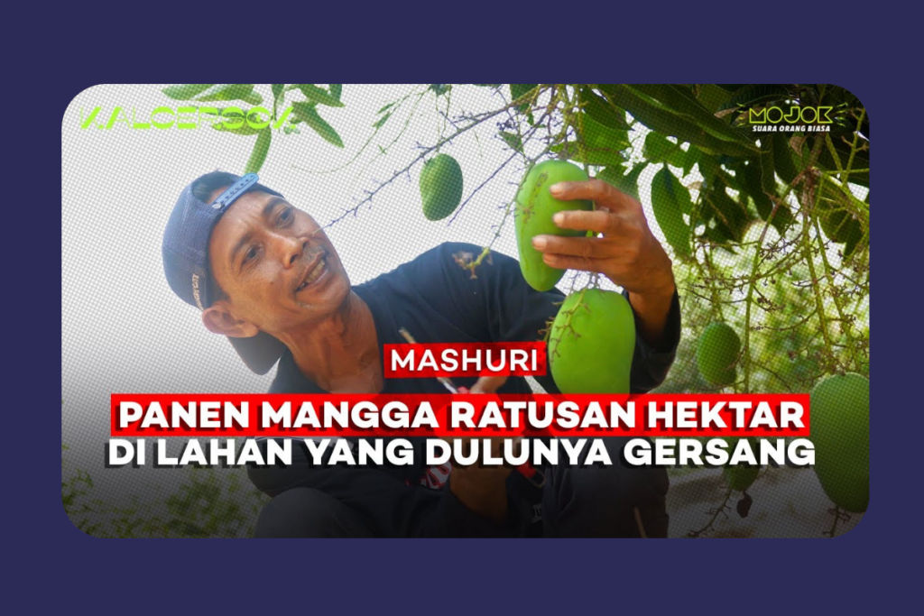 Inovasi Petani Kudus: Mengubah Bukit Patiayam Jadi Lahan Penghasil Cuan