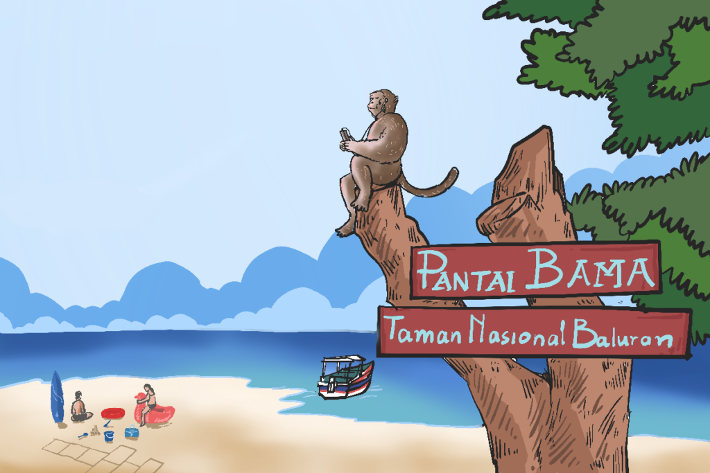 Wisata Pantai Bama di Taman Nasional Baluran, Situbondo: Indah tapi waswas gangguan monyet MOJOK.CO