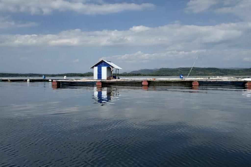Wonogiri Bukanlah Anak Tiri Surakarta, Kami Sama dan Punya Harga Diri yang Patut Dijaga