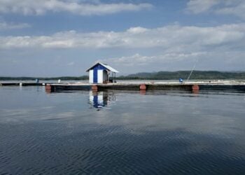 Wonogiri Bukanlah Anak Tiri Surakarta, Kami Sama dan Punya Harga Diri yang Patut Dijaga