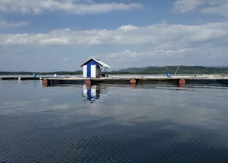 Wonogiri Bukanlah Anak Tiri Surakarta, Kami Sama dan Punya Harga Diri yang Patut Dijaga