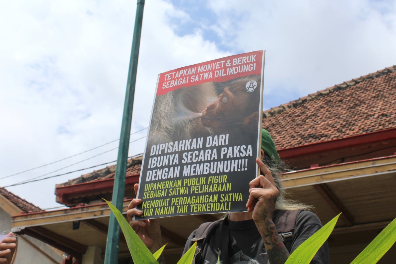 Poster larangan perdagangan monyet. MOJOK.CO