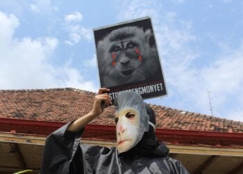 Berantas topeng monyet. MOJOK.CO