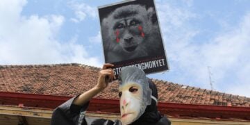 Berantas topeng monyet. MOJOK.CO