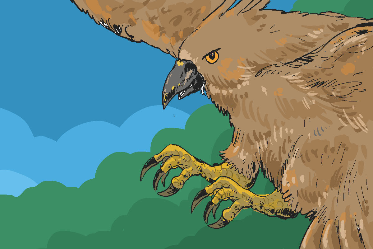 Balada Berburu Si Elang Jawa, Predator Udara Terganas dan Terlangka