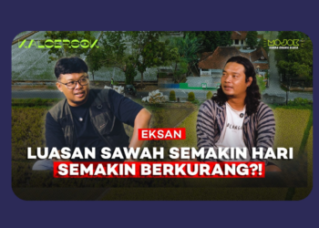 Eksan dan Perjuangan Menghidupkan Kembali Rojolele, Beras Legendaris dari Delanggu