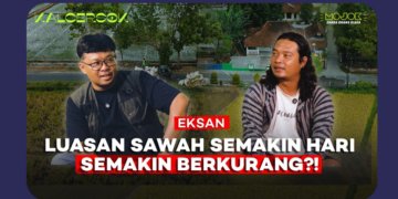 Eksan dan Perjuangan Menghidupkan Kembali Rojolele, Beras Legendaris dari Delanggu