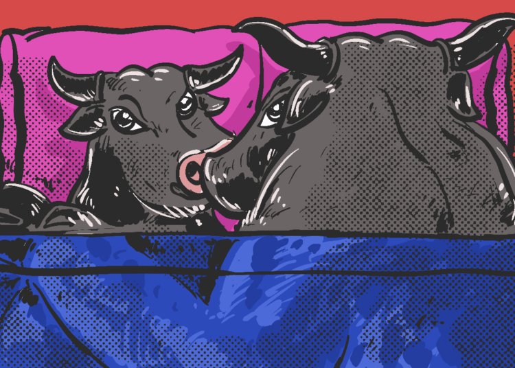 Kumpul kebo (kohabitasi) sesama jenis di Malang dan Surabaya. Menemukan kebahagiaan, berharap menikah, tapi takut lukai hati orang tua MOJOK.CO