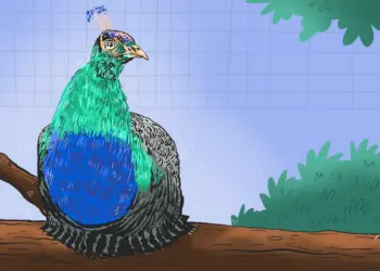 Penangkaran merak di Jogja City Mall. MOJOK.CO