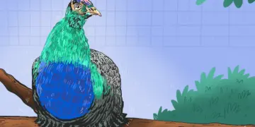 Penangkaran merak di Jogja City Mall. MOJOK.CO