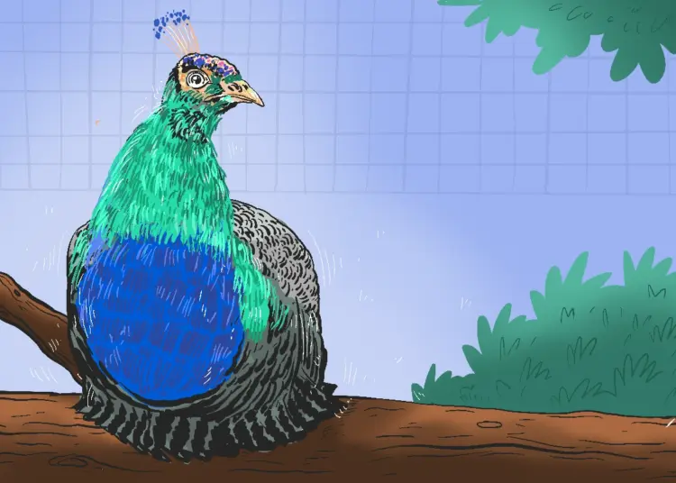 Penangkaran merak di Jogja City Mall. MOJOK.CO