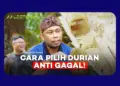 Kebun Durian Warso Farm di Bogor, Agrowisata Edukatif dengan 16 Varietas Durian
