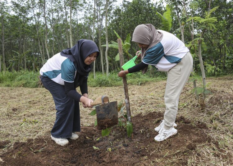 menanam pohon. MOJOK.CO