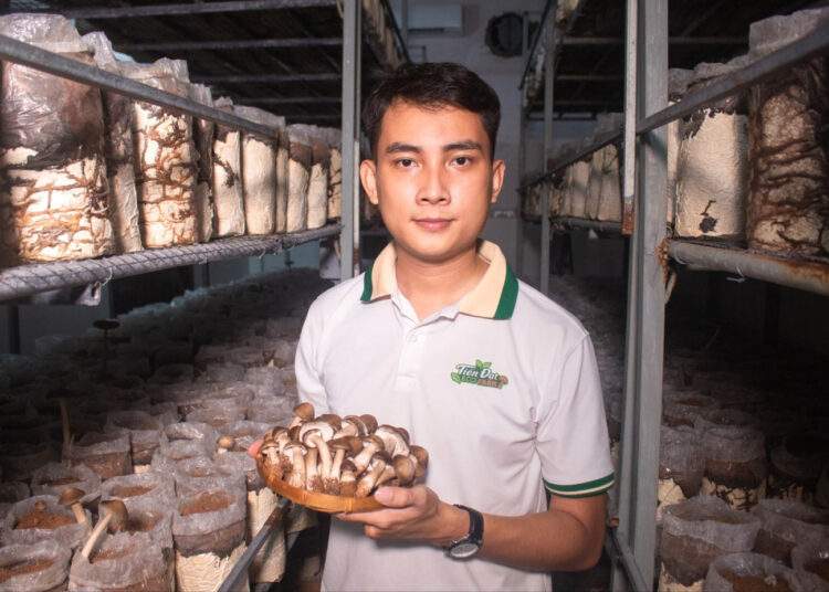 Dat, pemuda dengan 3 gelar universitas putuskan tinggalkan kota demi bangun bisnis  budidaya jamur di perdesaan MOJOK.CO