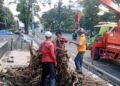 Keselamatan warga Kota Semarang jadi prioritas di tengah hujan dan angin kencang yang tumbangkan 80 lebih pohon dalam semalam MOJOK.CO