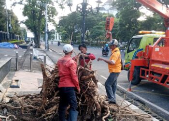 Keselamatan warga Kota Semarang jadi prioritas di tengah hujan dan angin kencang yang tumbangkan 80 lebih pohon dalam semalam MOJOK.CO
