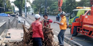Keselamatan warga Kota Semarang jadi prioritas di tengah hujan dan angin kencang yang tumbangkan 80 lebih pohon dalam semalam MOJOK.CO