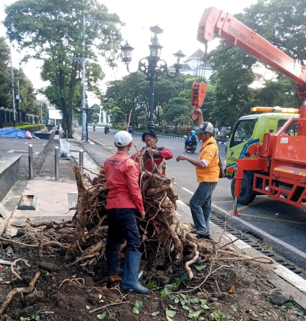 Keselamatan warga Kota Semarang jadi prioritas di tengah hujan dan angin kencang yang tumbangkan 80 lebih pohon dalam semalam MOJOK.CO