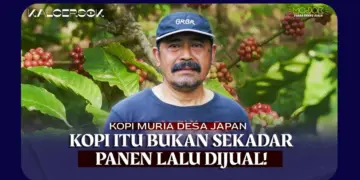 Merawat Harapan Kopi Robusta Desa Japan: Dari Petik Asalan ke Petik Merah