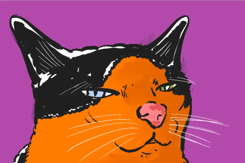 Kucing peliharaan anak kos Jogja