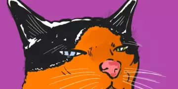 Kucing peliharaan anak kos Jogja