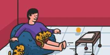 Kucing, hewan peliharaan