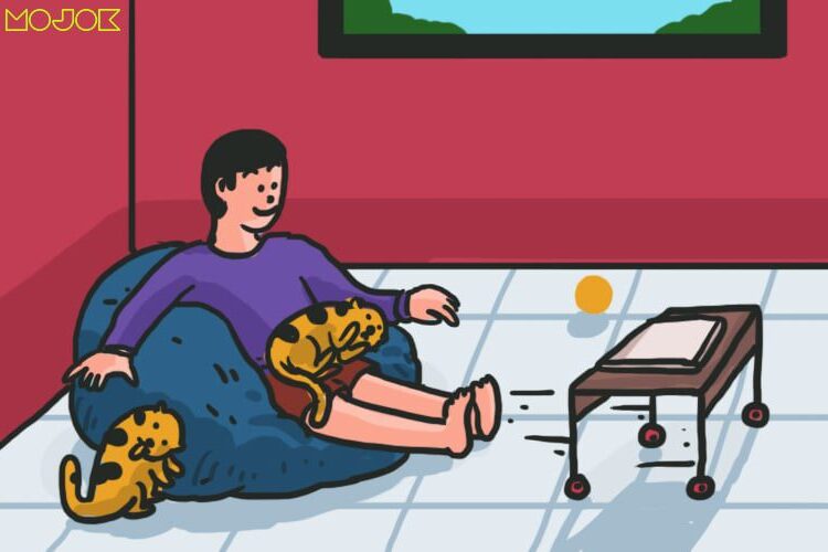 Kucing, hewan peliharaan