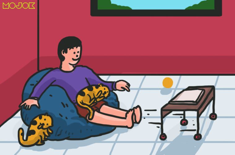 Memelihara Kucing Membuat Saya Menjadi Manusia: Tak Saling Bicara, tapi Lebih Memahami ketimbang Sesama Manusia