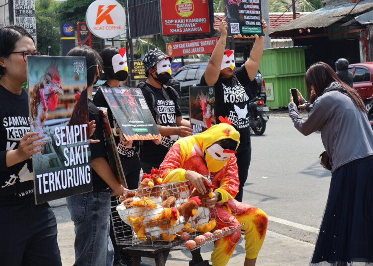 aksi topeng ayam. MOJOK.CO