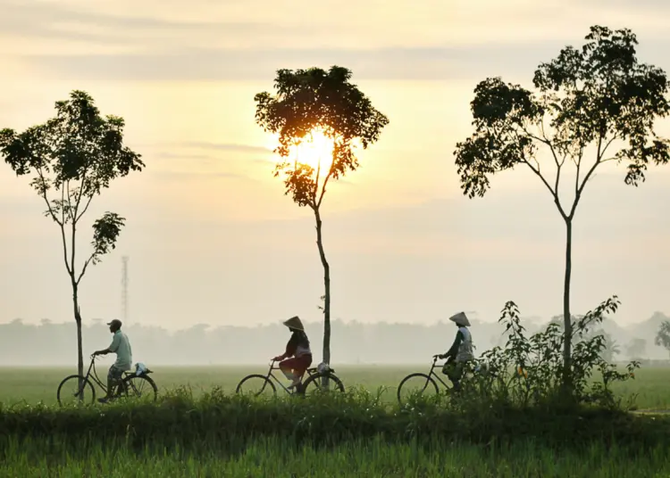 Saya Setuju Orang Jakarta Tajir Tak Betah Slow Living di Desa (Unsplash)