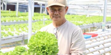Arta Wahana, pensiunan UGM isi waktu dengan berkebun selada (dok. UGM)