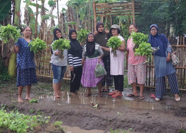 KWT di Delanggu, Klaten. MOJOK.CO